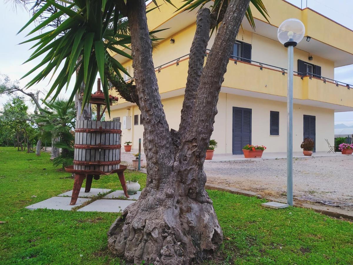 Casa Vacanze Paradise Santa Maria La Carità 外观 照片