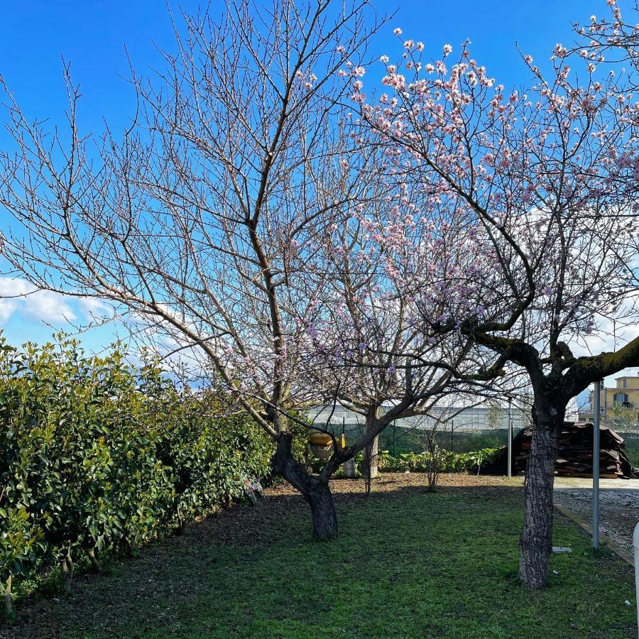 Casa Vacanze Paradise Santa Maria La Carità 外观 照片