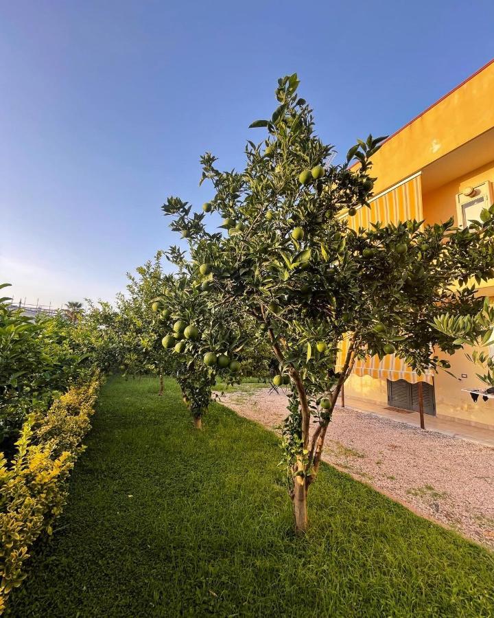 Casa Vacanze Paradise Santa Maria La Carità 外观 照片
