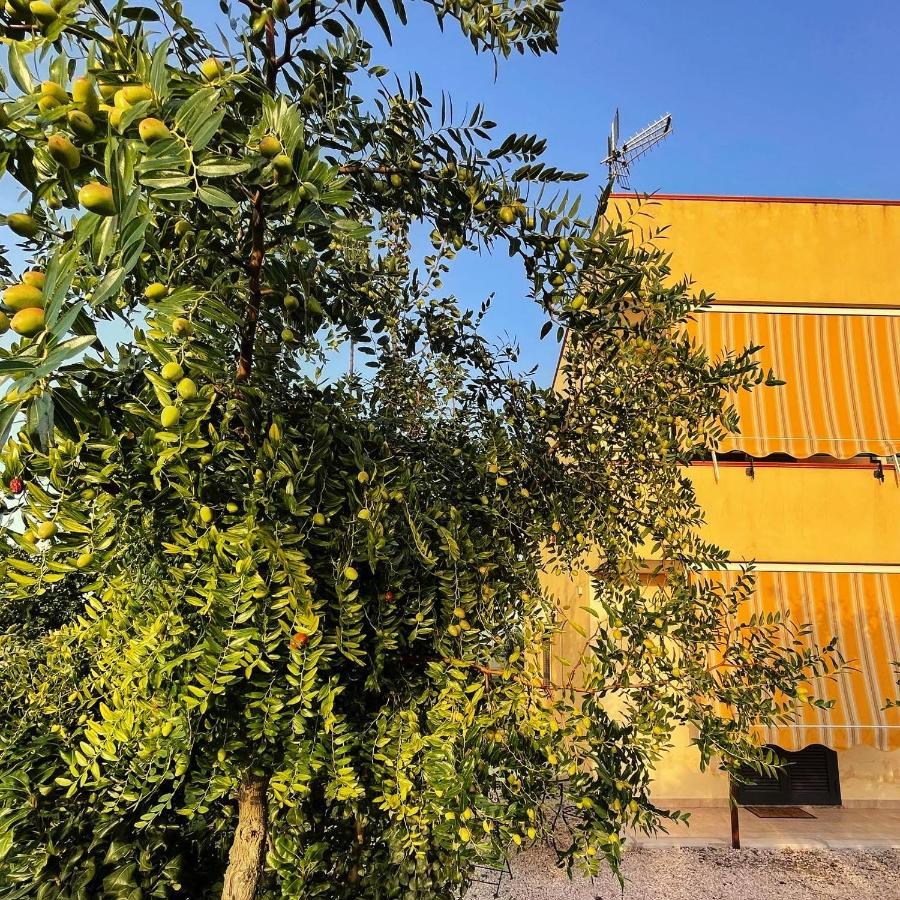 Casa Vacanze Paradise Santa Maria La Carità 外观 照片