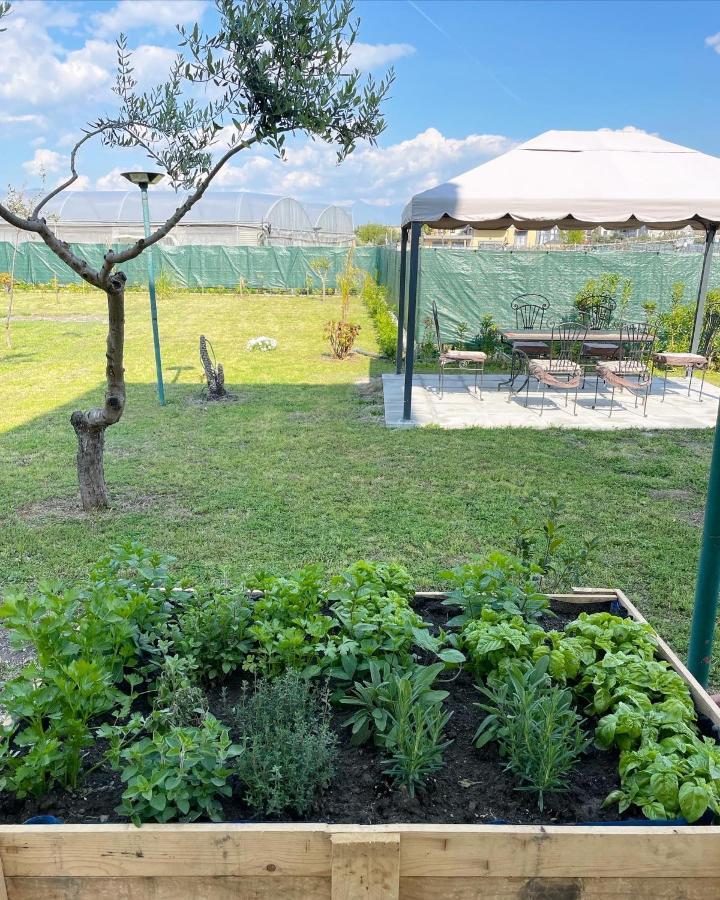 Casa Vacanze Paradise Santa Maria La Carità 外观 照片