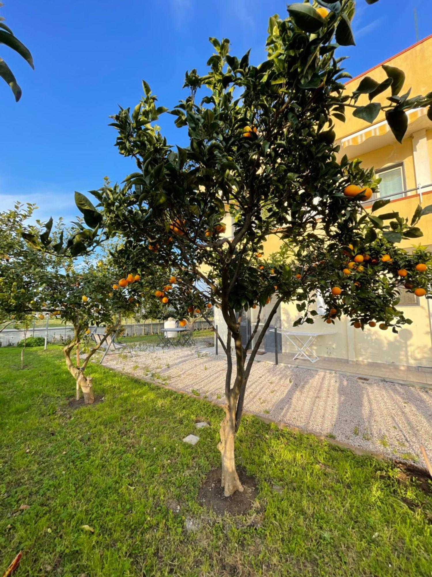 Casa Vacanze Paradise Santa Maria La Carità 外观 照片