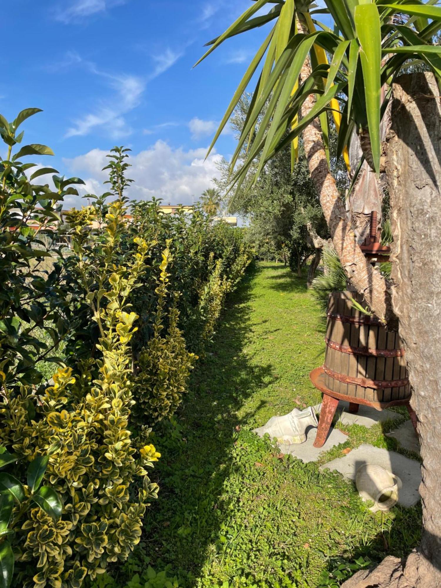 Casa Vacanze Paradise Santa Maria La Carità 外观 照片