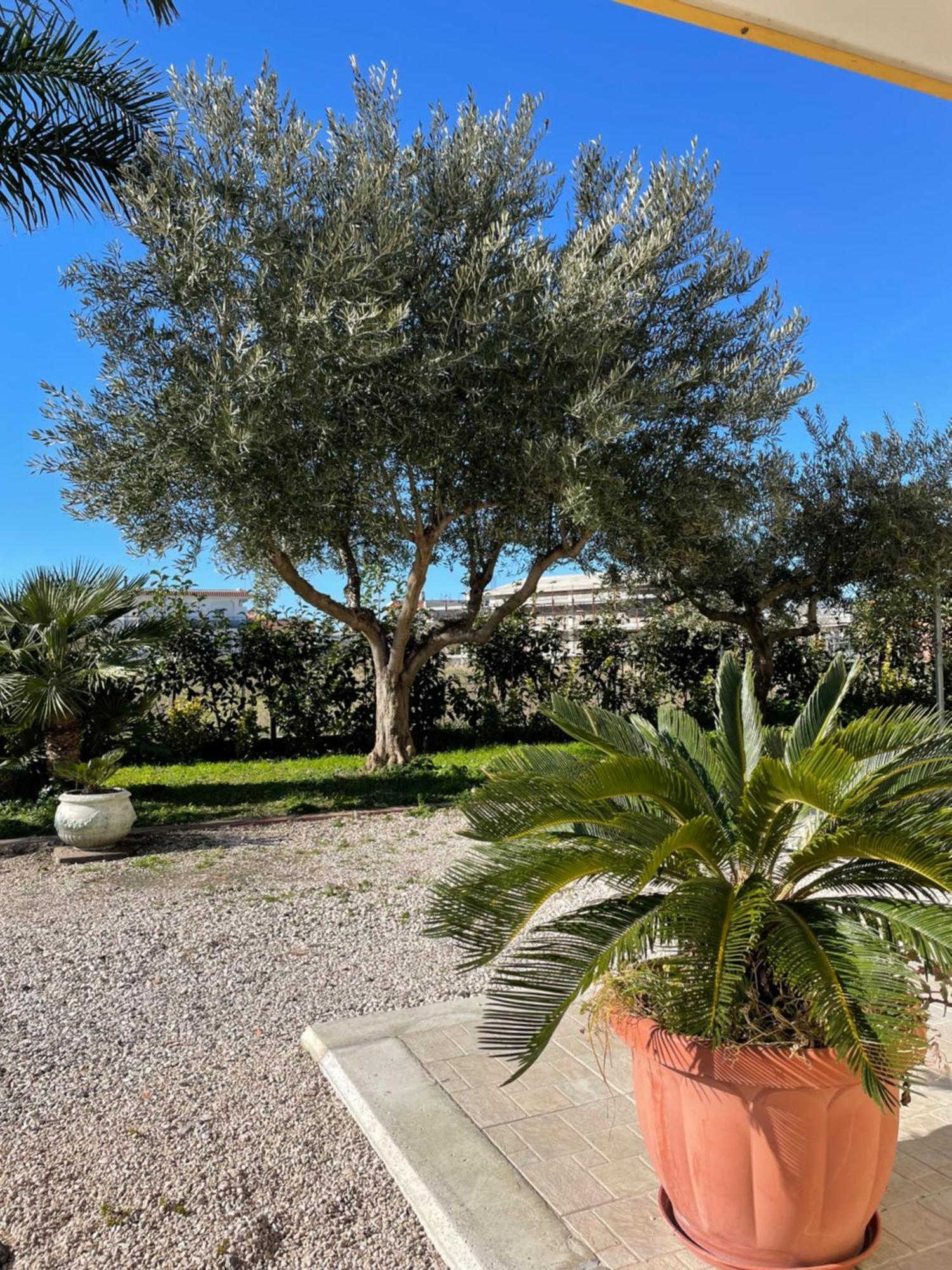 Casa Vacanze Paradise Santa Maria La Carità 外观 照片