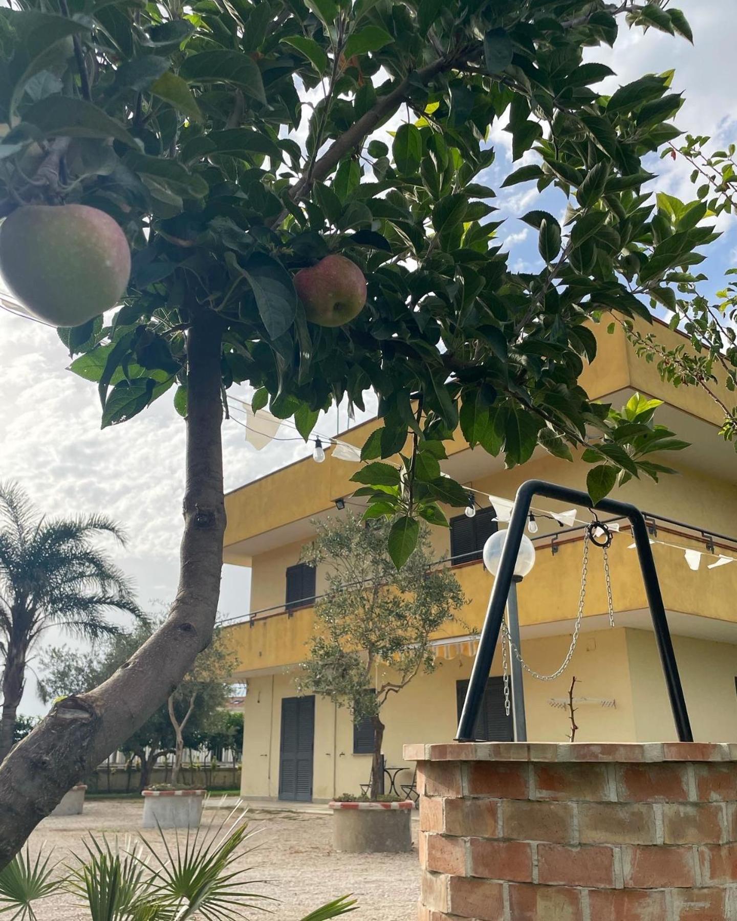 Casa Vacanze Paradise Santa Maria La Carità 外观 照片